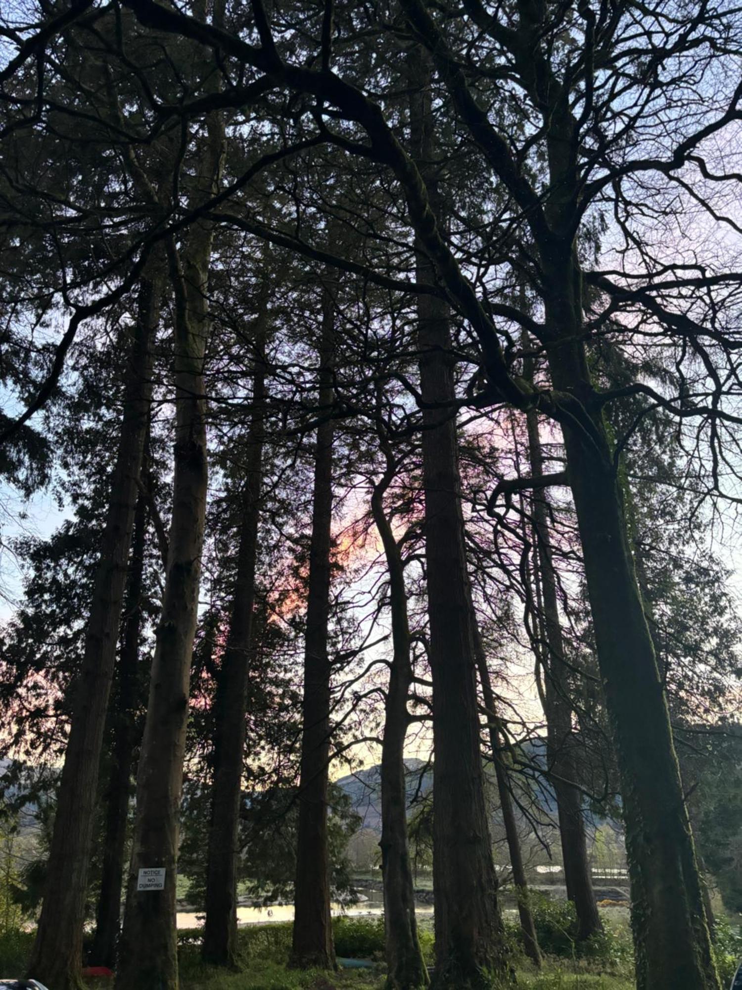 North Lodge Kilmun Εξωτερικό φωτογραφία