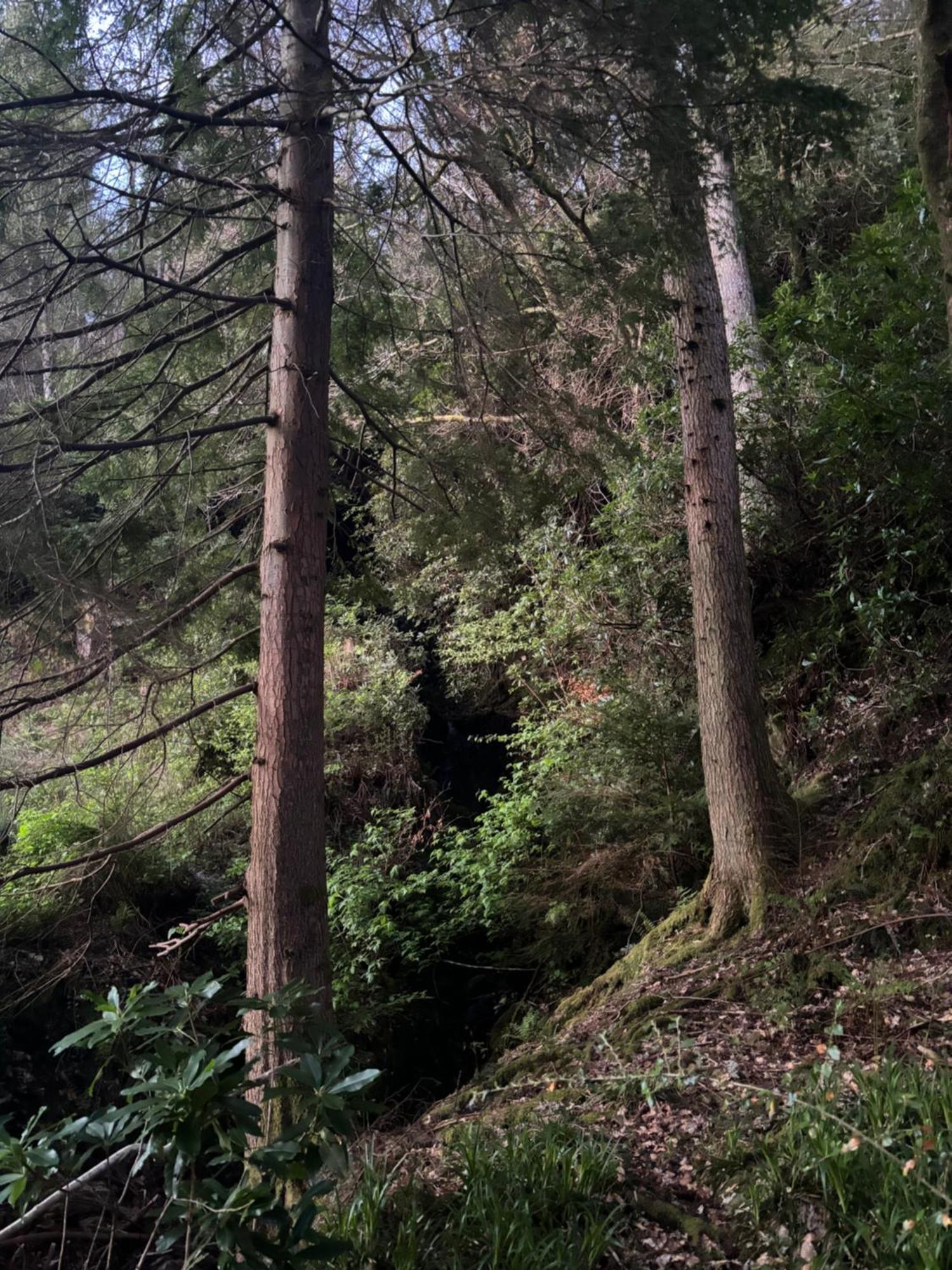 North Lodge Kilmun Εξωτερικό φωτογραφία