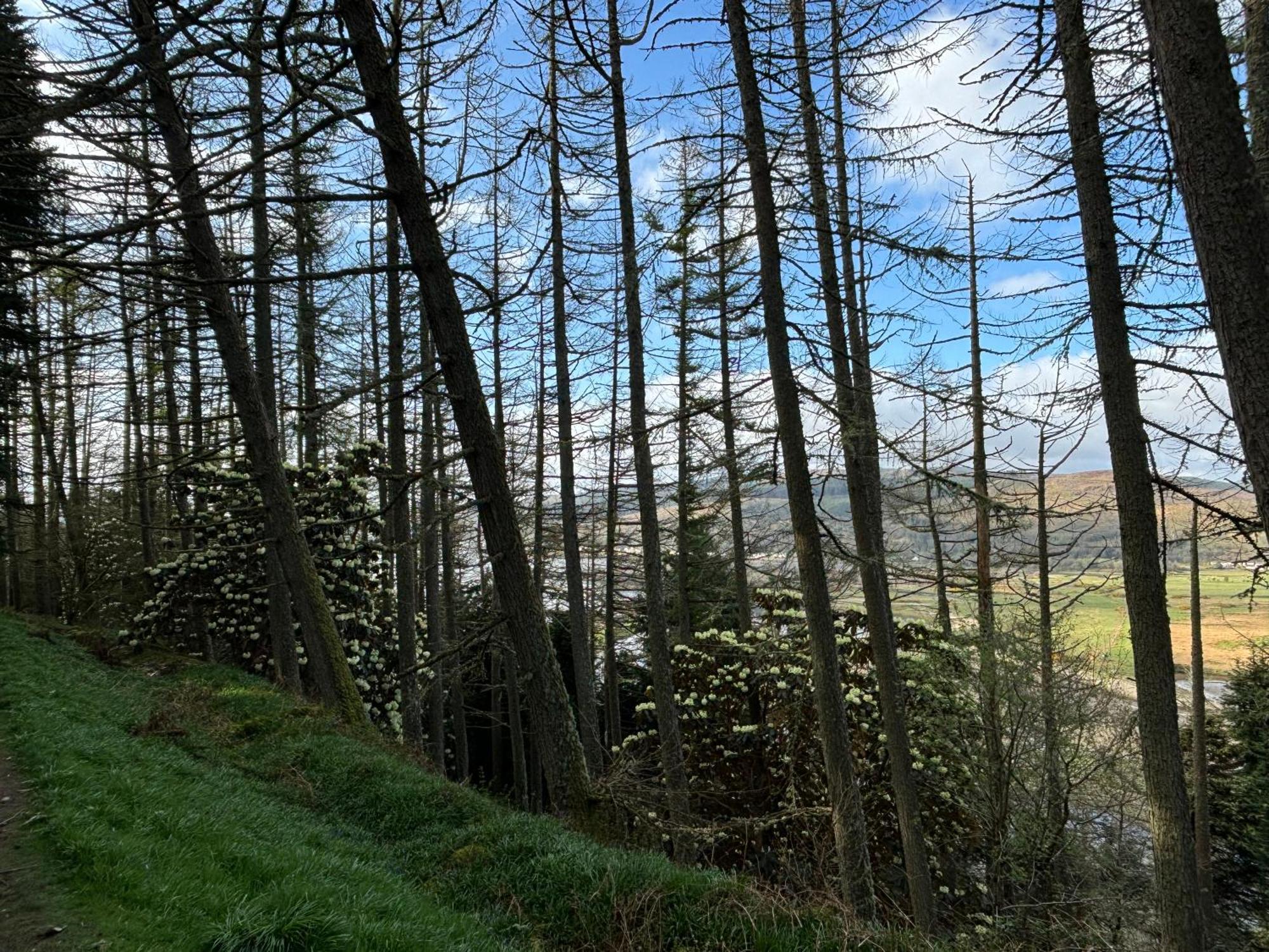 North Lodge Kilmun Εξωτερικό φωτογραφία